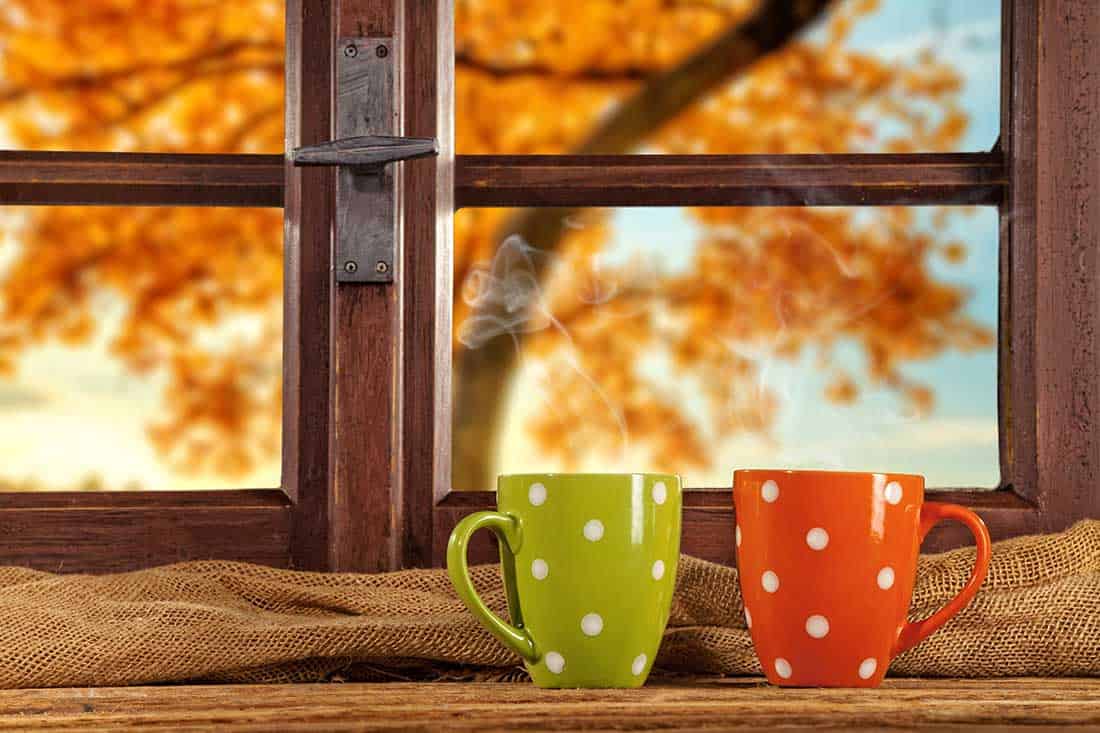 2 coffee mugs in front of a window