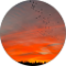 Robert Reid Avatar